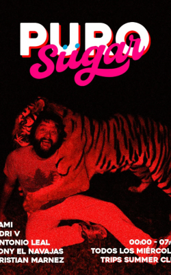 Captura de pantalla 2025-08-23 022722